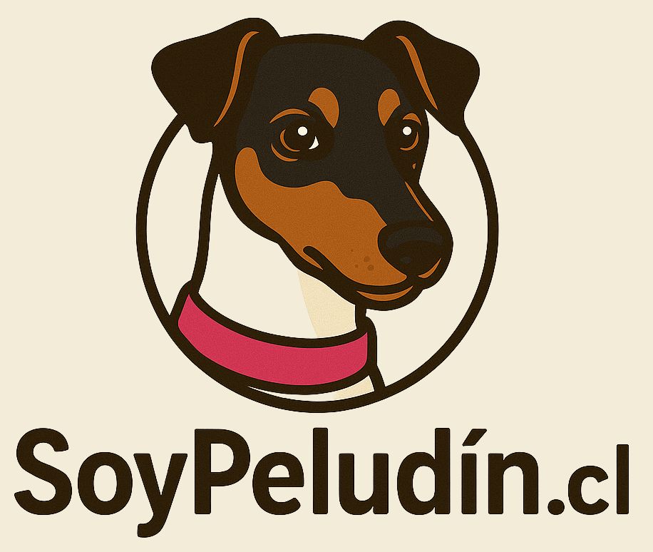 Soypeludin | Tienda de productos para perros en Chile